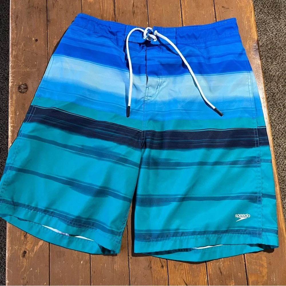 Speedo Men's Ombré Gradient Stripe Stretch Board Shorts Blue